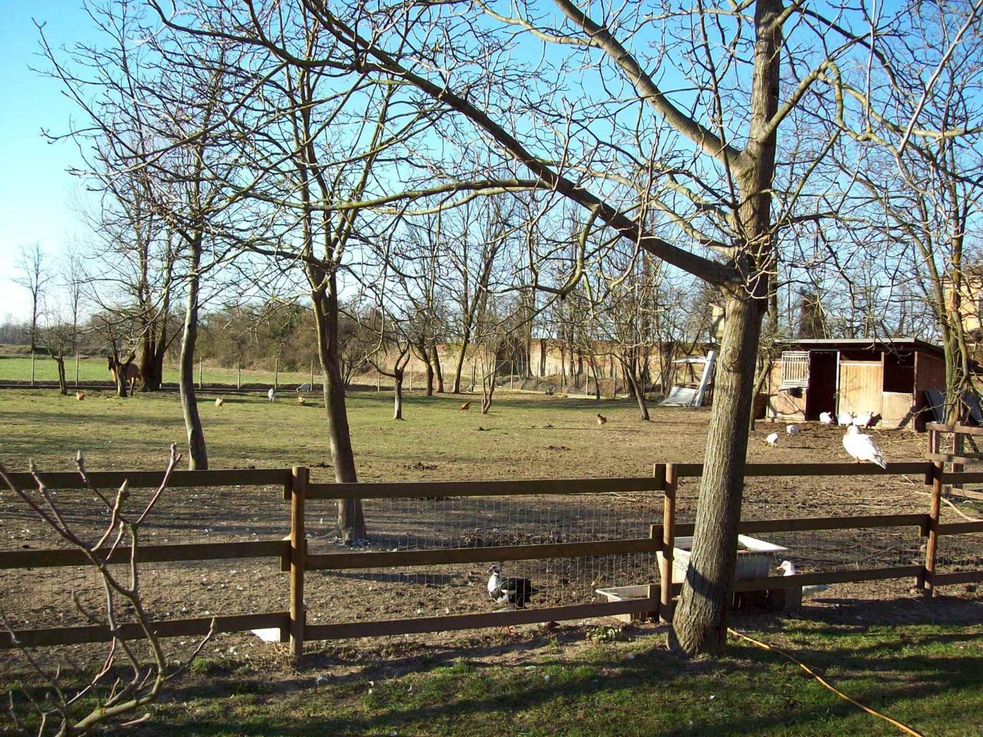 Agri Village Pavia Certosa di Pavia Exterior foto